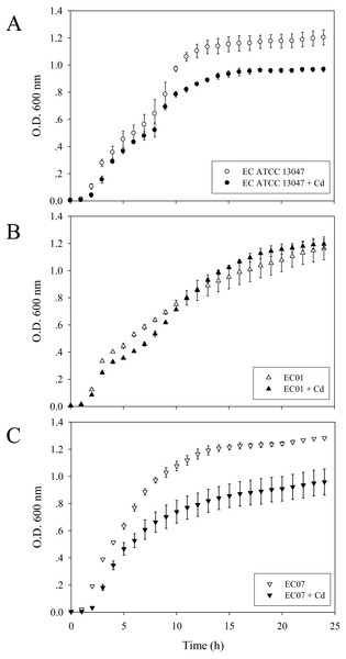 Growth curves of E. cloacae strains ATCC 13047 (A), EC01 (B) and EC07 (C) in the absence (opened symbol) and presence (closed symbol) of 0.2 mM CdCl2.
