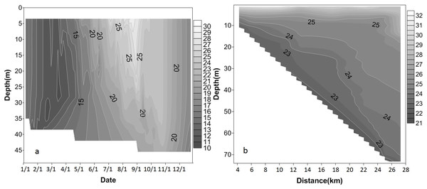 Vertical profile of water temperature measured in Xiangxi River in 2010.