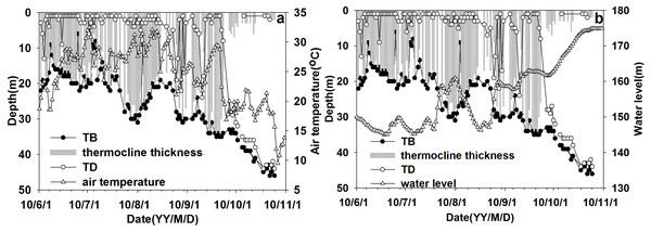 The variation process of thermocline parameters with air temperature\water level (WL) from June to October at site XXM.