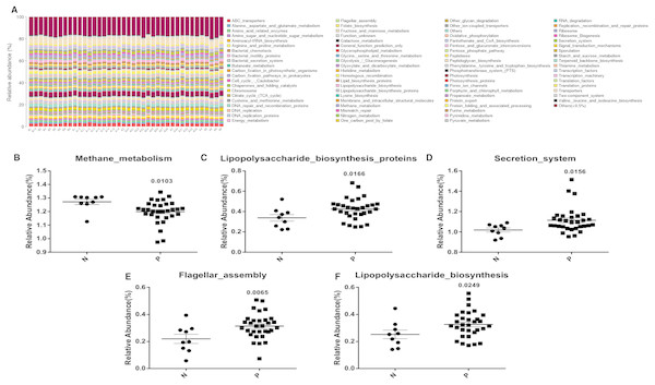 Pathway abundance analysis of microbial taxa with KEGG.