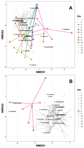 Non-metric multidimensional scaling (NMDS) of Phytophthora species abundance data (A) and Phytophthora species presence/absence data (B) (Bray–Curtis dissimilarity matrix, with centring and Wisconsin square-root transformations, two of three axes), with ‘ordispider’ plots showing the significant effect of site on the distances (permANOVA, (F13,98 = 2.93, p < 0.001, abundance data; F13,98 = 2.92, p < 0.001, presence/absence data)).