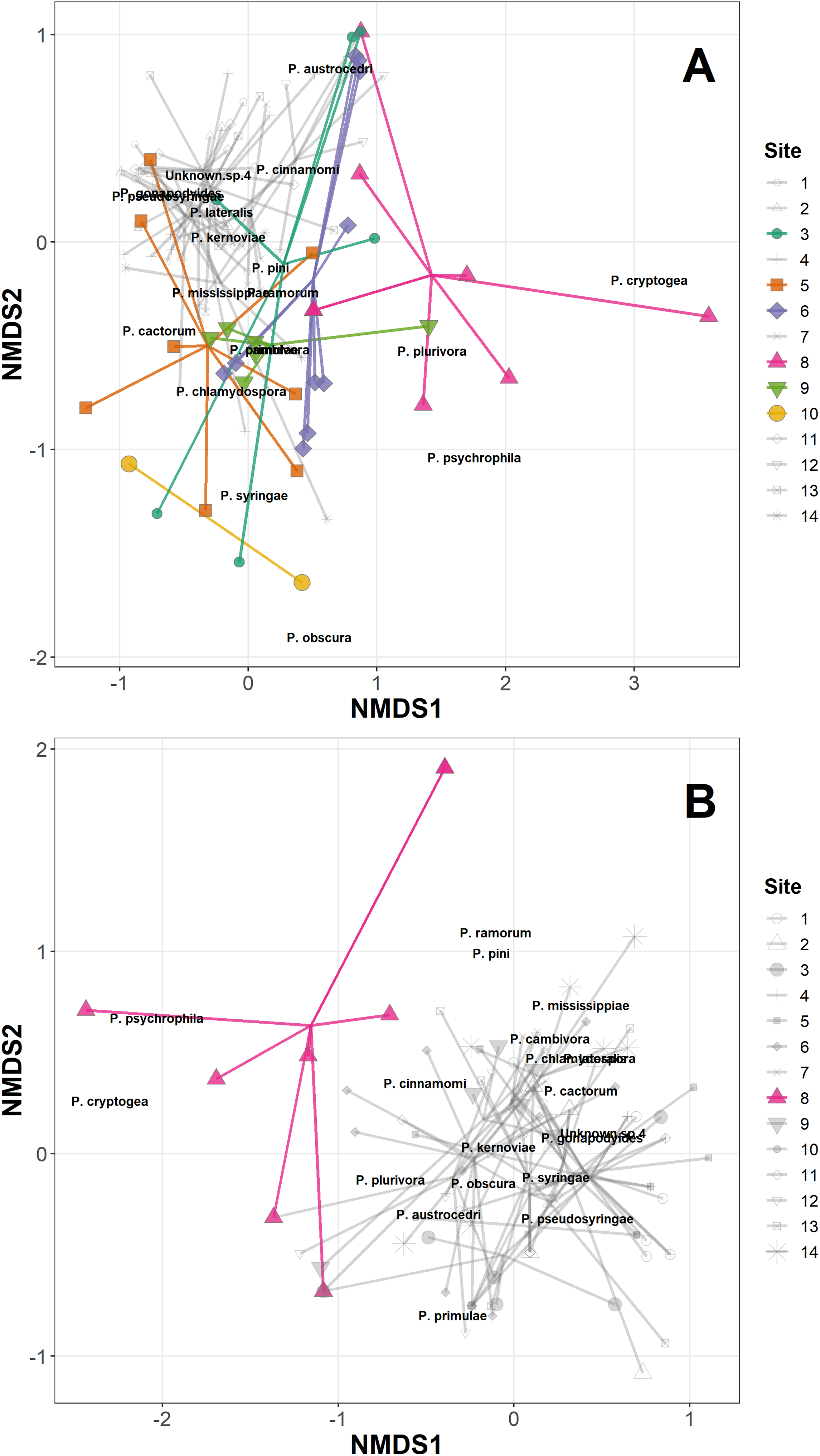 Metabarcoding Reveals A High Diversity Of Woody Host Associated