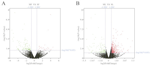 Analysis of differentially expressed genes.