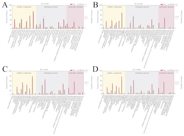 GO enrichment analysis of DE-mRNAs and target genes of DE-lncRNAs.