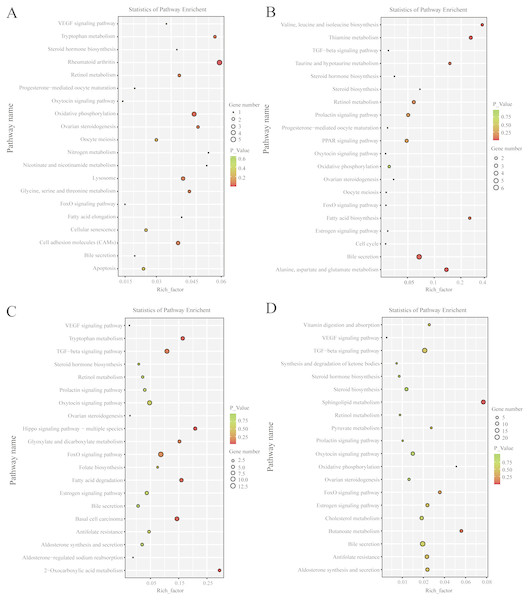 KEGG pathway analysis of differentially expressed mRNAs and lncRNAs.