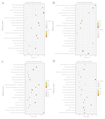 Identification and characterization of mRNAs and lncRNAs in the uterus ...