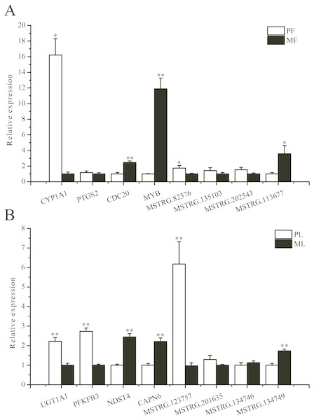 qRT-PCR verification of the differentially expressed genes.