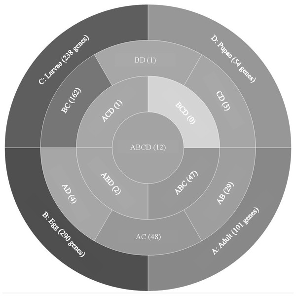 Venn diagram comparing genes expressed in T. castaneum life stages: adult, egg, larvae, and pupae with high expression values (>8 log2 RPKM).