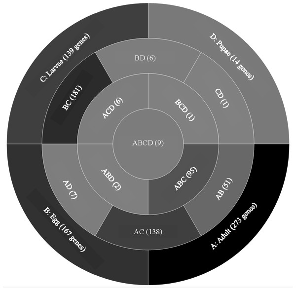 Venn diagram comparing genes between all T. castaneum life stages: adult, egg, larvae, and pupae with low expression values (2–8 log2 RPKM).