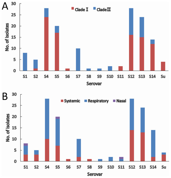 IscR-based phylogenic (A) and clinical relevance (B) of isolates in each serovar.