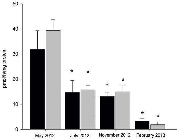 Seasonal differences in AE in microsomes isolated from gills (black column) and gonads (gray column) of M. trossulus.