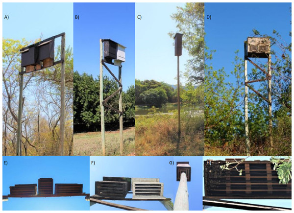Showing the different bat house designs from the front and below, erected in the study area Levubu, Limpopo, South Africa. Photo credit: SM Weier.