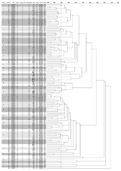 Dendrogram showing relationships of and information on 145 G. parasuis strains.