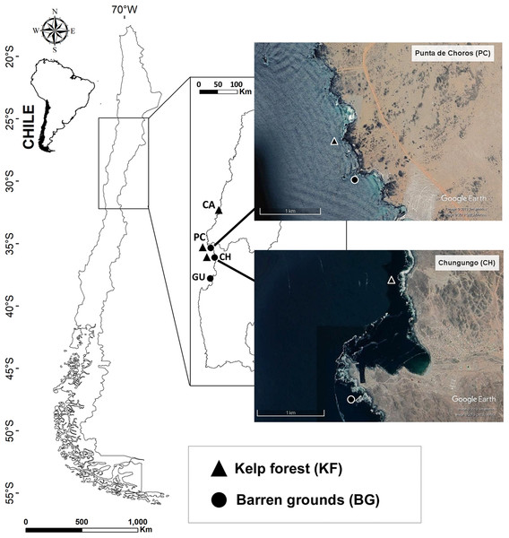 Map of the four sampling locations along the Chilean coast and their corresponding habitats.