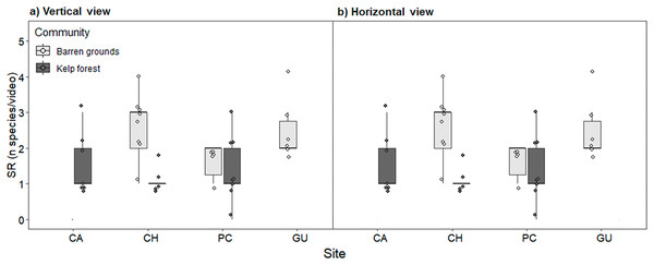 Fish species richness (SR, number of species video−1) by study site, observed in videos with (A) vertical, and (B) horizontal view.