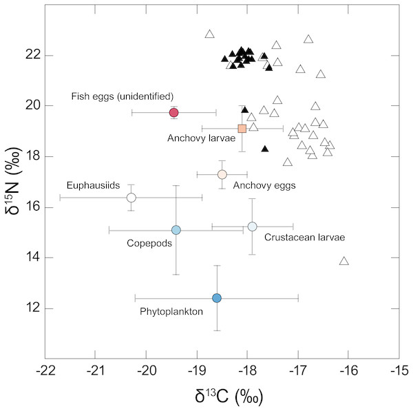 Stable isotope δ15N - δ13C biplot showing individual values for adult anchovies (open triangles) and juvenile jack mackerel (filled triangles) captured during the current study—putative prey values are shown as mean (±SD).