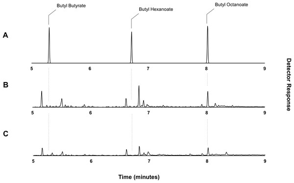 Gas chromatograms showing butyl octanoate production from strain DLBO1.