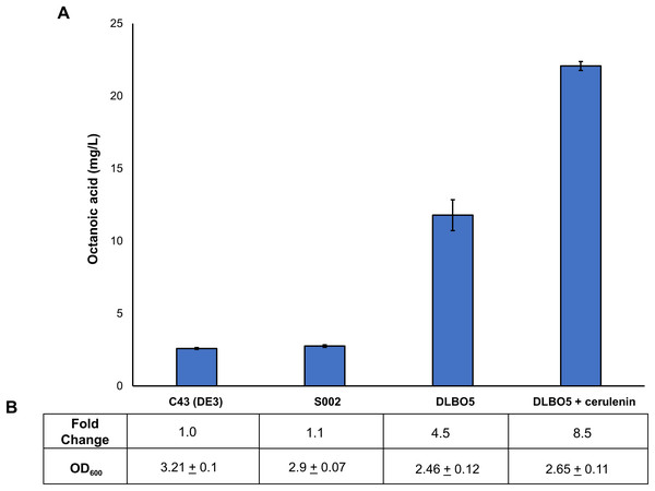 Proportion of free octanoic acid present in the cell pellet fraction of E. coli C43 (DE3), S002, DLBO5, and DLBO5 + 4 μg/L cerulenin.