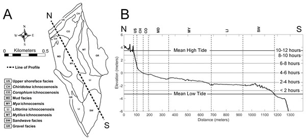 Topobathymetric profile of the modern tidal flat at Lubec, Maine, based on elevation derived from Lidar coverage.