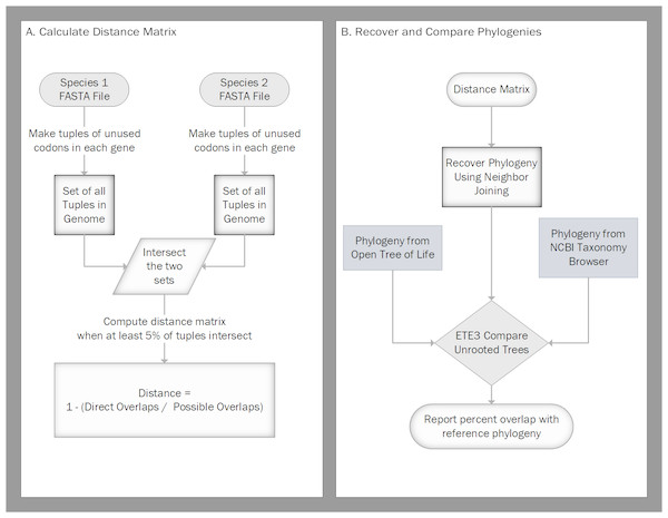 Flow charts for calculating the distance matrix and comparing the recovered phylogenies.