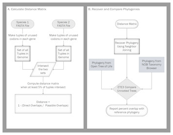 CAM: An Alignment-free Method To Recover Phylogenies Using Codon ...