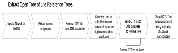 A flow chart depicting the process getOTLtree takes to infer a subtree phylogeny from the OTL.