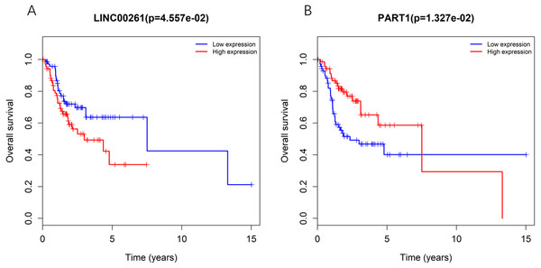 Kaplan-Meiercurve analysis of DElncRNA (A: LINC00261 and B: PART1) inTSCC patients.