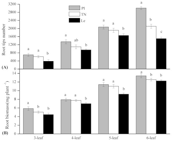Root tips number and root biomass (mg plant−1) of the three rice cultivars (PI and TN, allelopathic cultivars PI312777 and Taichung Native1; Le, non-allelopathic cultivar Lemont) at 3–6 leaf stages.