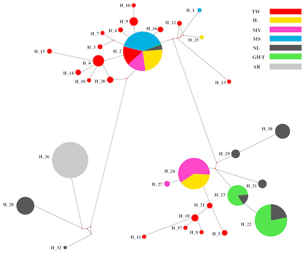 The haplotypes network of the D-loop sequences for seven tilapia populations.