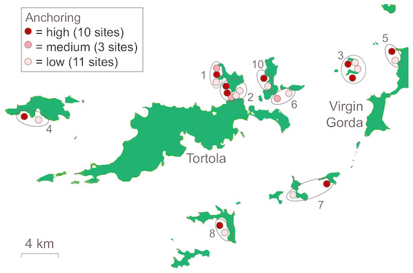 Boat anchoring contributes substantially to coral reef degradation in ...