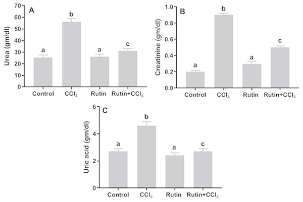 Serum kidney markers in male rats after administration of CCl4 and/or rutin.