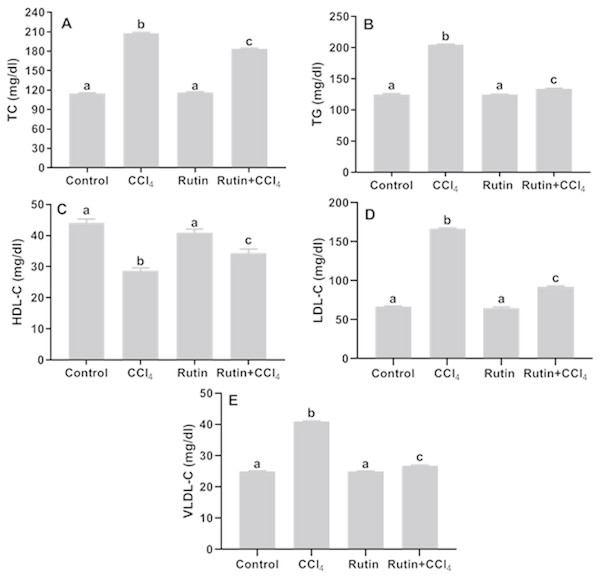 Serum lipid profile in male rats after administration of CCl4 and/or rutin.