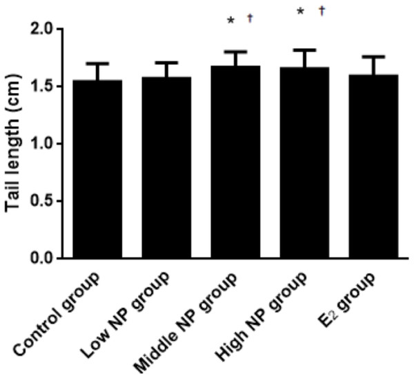 Comparison of tail length among male pups on ND 0 among different treatment groups.