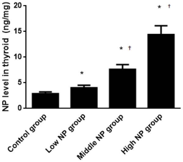 Comparison of the NP level in the thyroids of pups on PND 73 among different treatment groups.