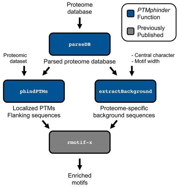 Workflow of PTMphinder Package.