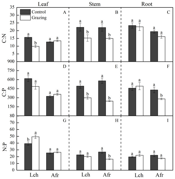 Effect of grazing on C, N and P stoichiometric ratios in the two plants.