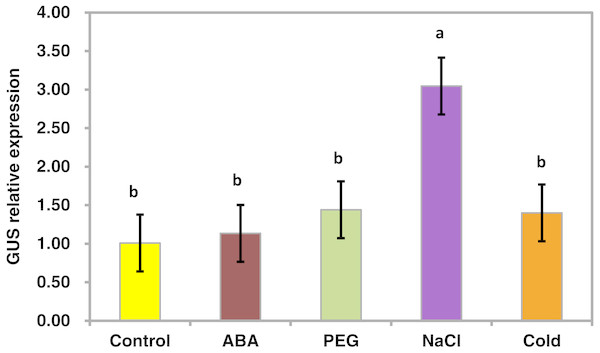 Real-time PCR analysis of the GUS gene in transgenic Arabidopsis in response to various stress treatments.