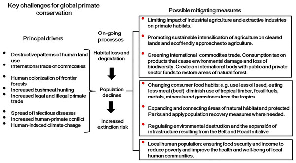 Diagram summarizing key aspects of international commodities trade and primate conservation.