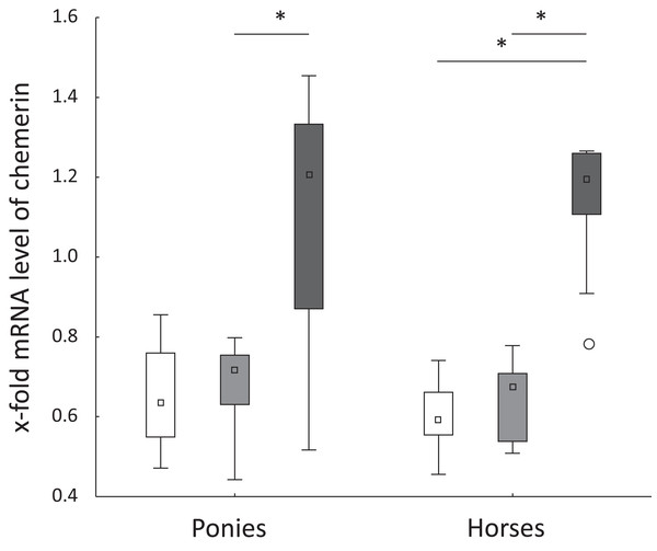 Hepatic chemerin mRNA level in ponies and horses.