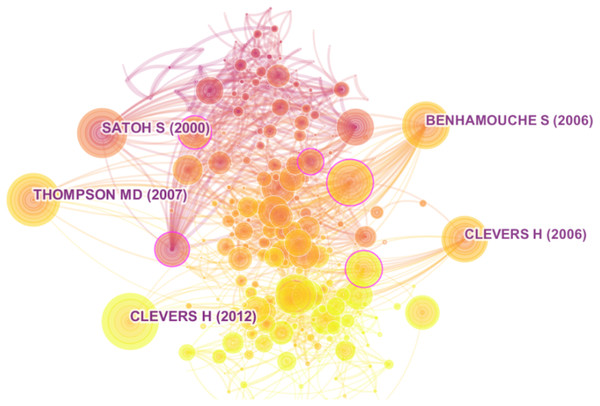 Top 5 manuscripts with highest co-citation in network.