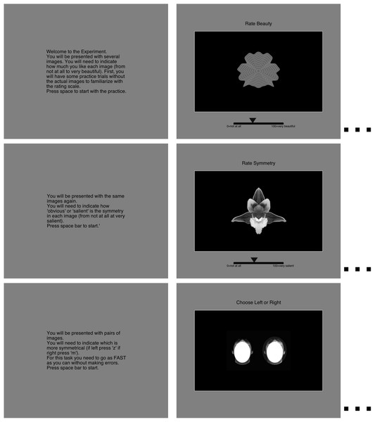 An illustration of the three tasks: beauty rating, followed by salience rating, followed by speeded discrimination.