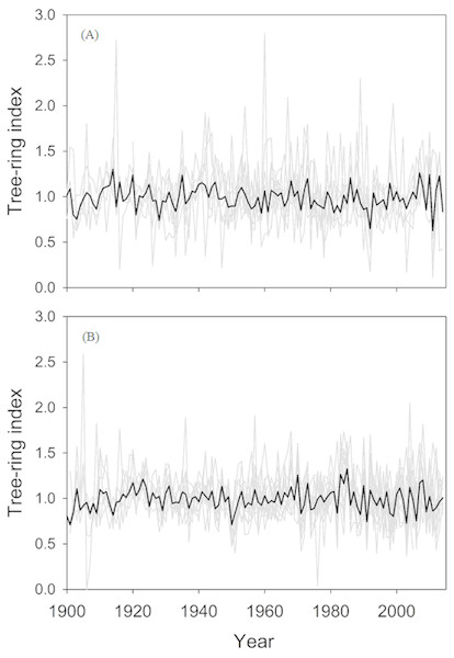 Tree-ring chronologies of the two study species.