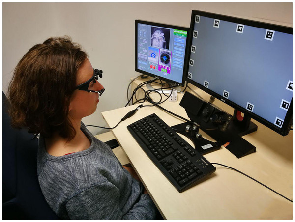 Experimental Setup. The remote eye-tracker EyeLink 1000 is located beneath the computer screen that displays the stimuli.