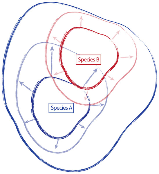 Schematic representing the amount of variation attributed to a species through time.