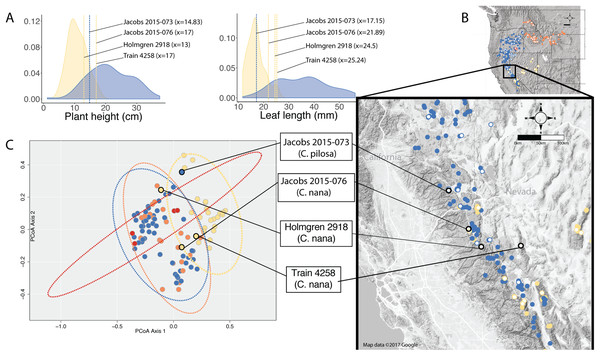 Position of individuals in morphospace and geographic space.