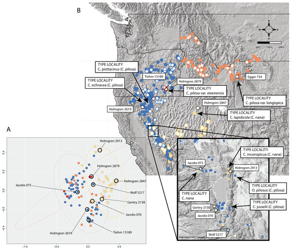 Position of type collections.