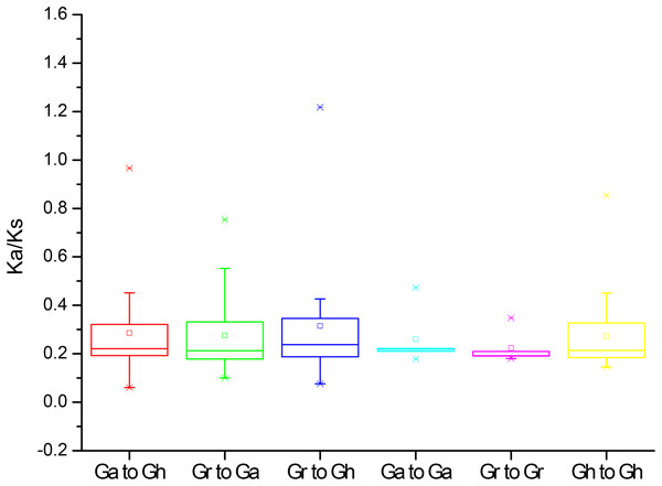 The Ka/Ks values of the homologous PP2CA gene pairs in Gossypium.