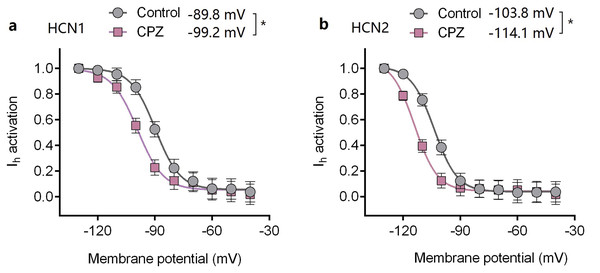 Voltage-dependent activation curves of HCN1 and HCN2 channels.