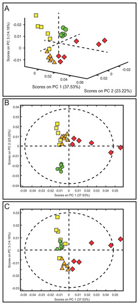 Score plots from PCA applied to 1H-NMR spectra of rat urine samples from control rats and rats with AKI–CKD transition induced by folic acid.