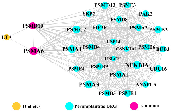 The module network 1 identified two cross-talk genes (PSMD1 and PSMD6).